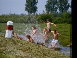 0DIA 1984 RAVA B1